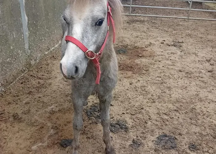 Katy Kellys Countryside Self Catering Vakantiehuis